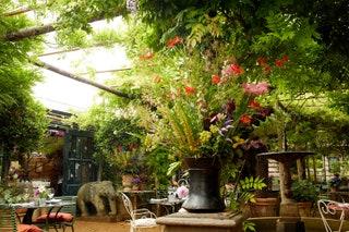 Petersham Nurseries