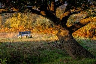 The best day trip from London for wellywielding outdoorsy types How to get there from London The train from London...