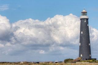 The best day trip from London for nature enthusiasts How to get there from London The drive to Romney Marsh via the A20...