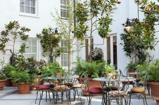 Outside at Petersham Nurseries